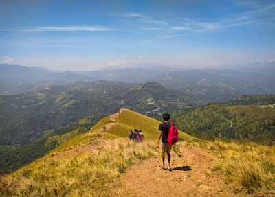 A group of travelers hiking through lush green hills under a bright sky.