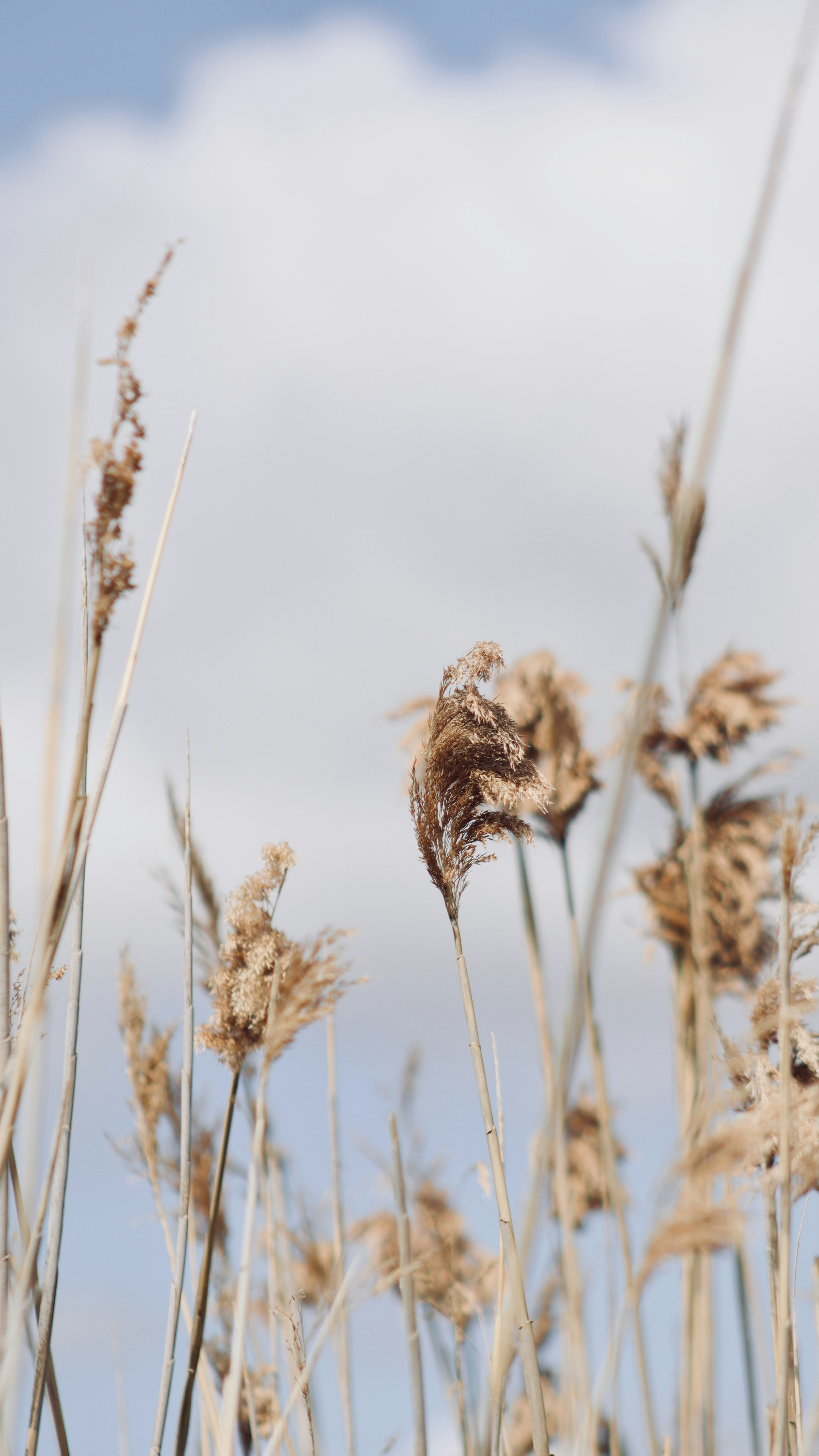 Photo by sangam_sharma