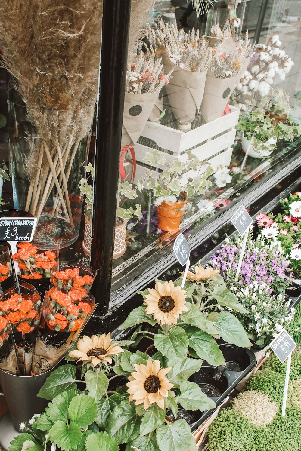 orange and white flowers in clear glass vase