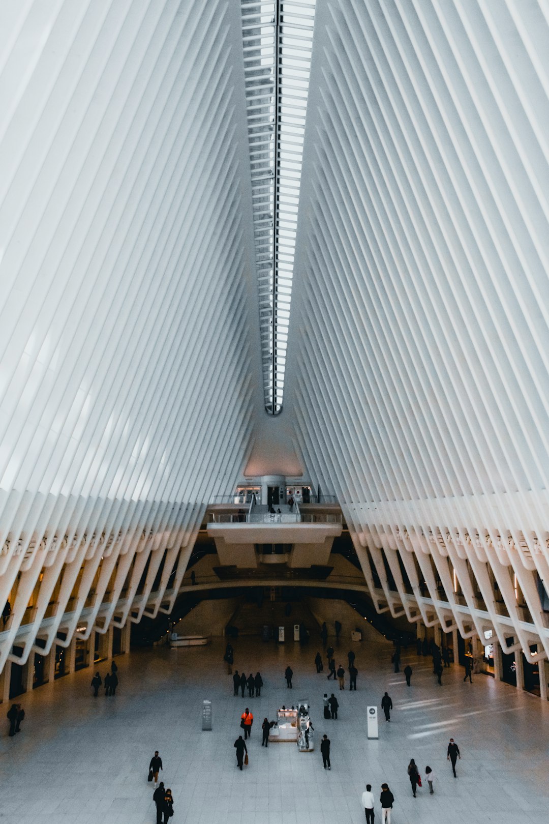 people walking on brown wooden stairs