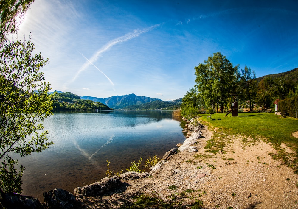 green trees beside river under blue sky during daytime