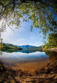 green trees near lake under blue sky during daytime