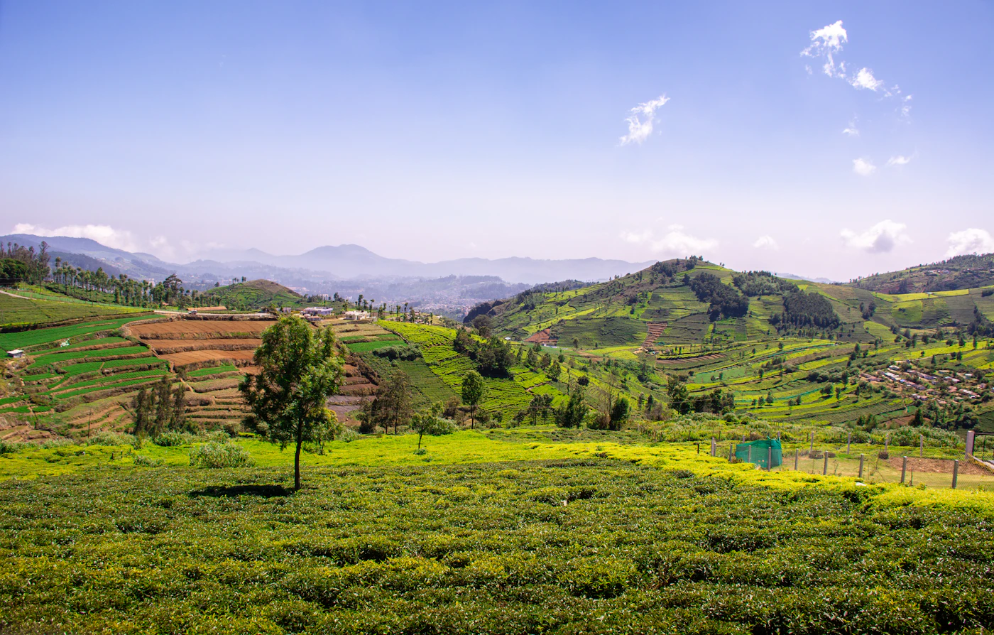 Divine Uttarakhand Retreat