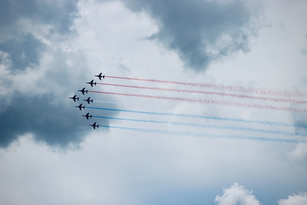 flock of birds flying under white clouds during daytime