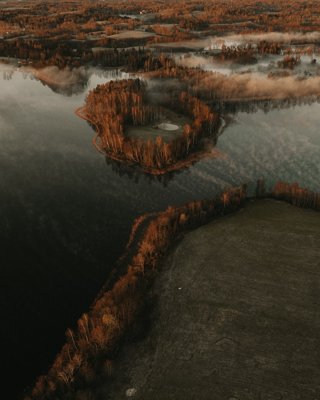 body of water near trees during daytime