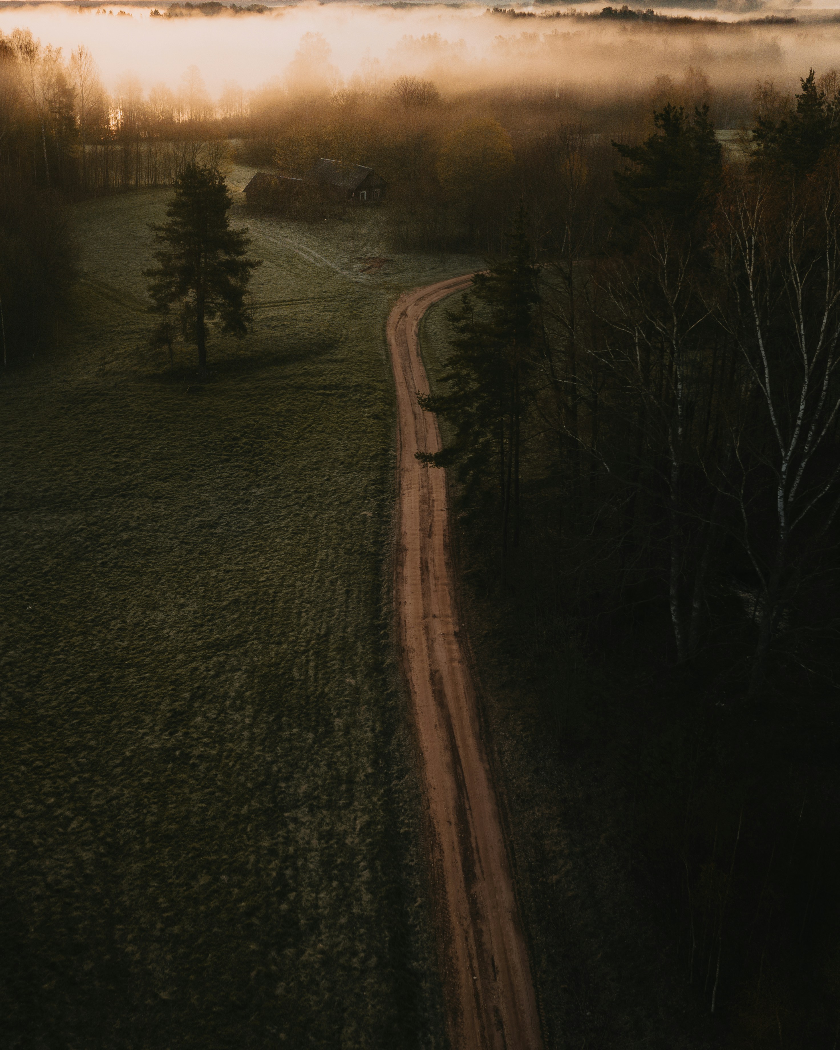 road in between trees during sunset