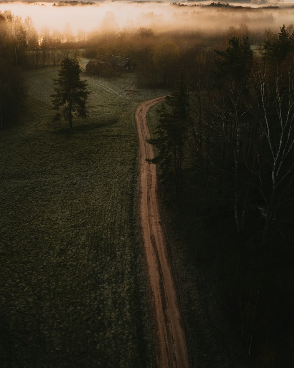 road in between trees during sunset