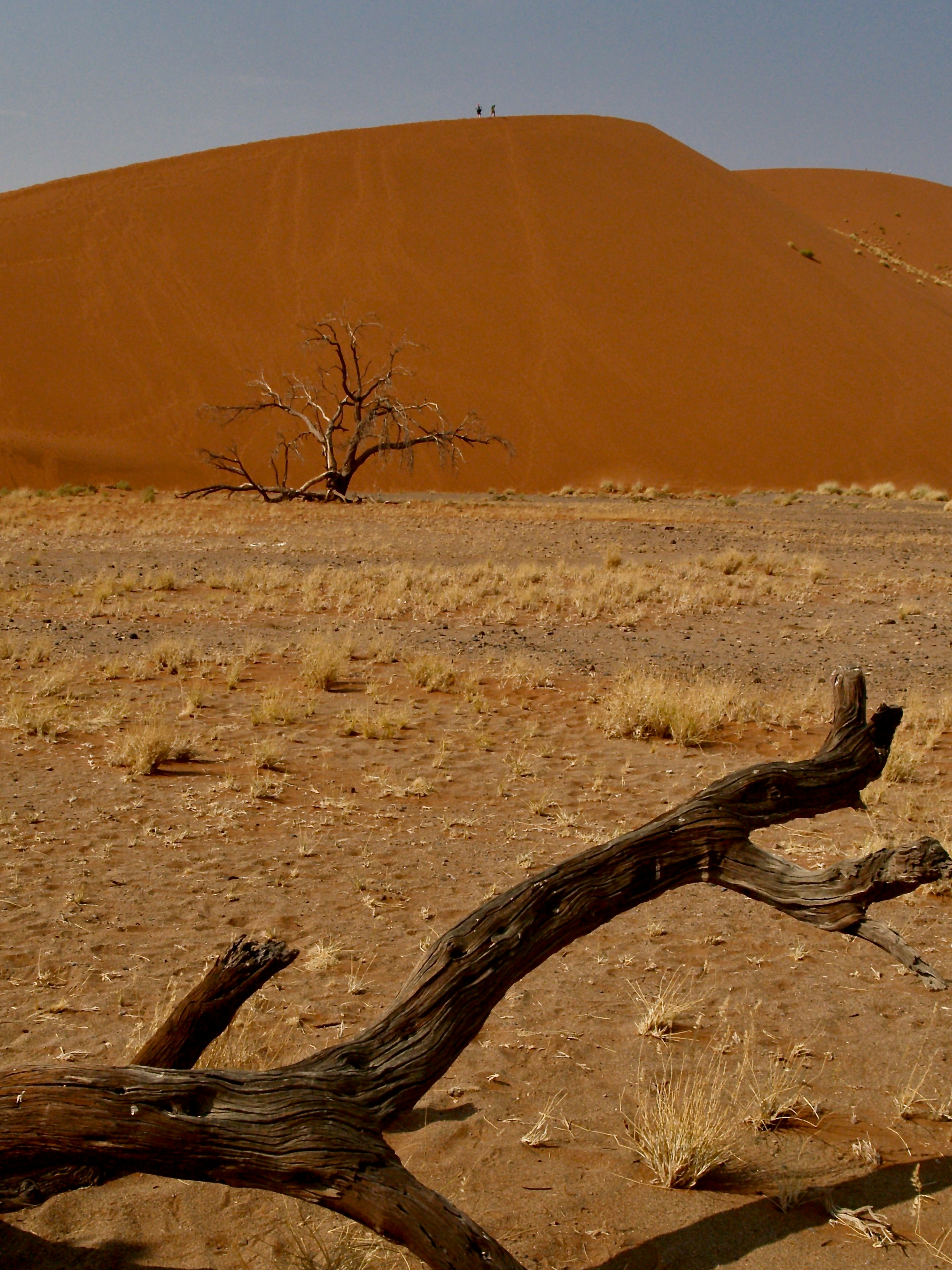 Photo by peterburdon