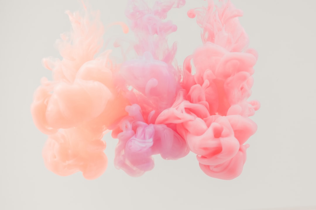 pink flower petals on white background,
