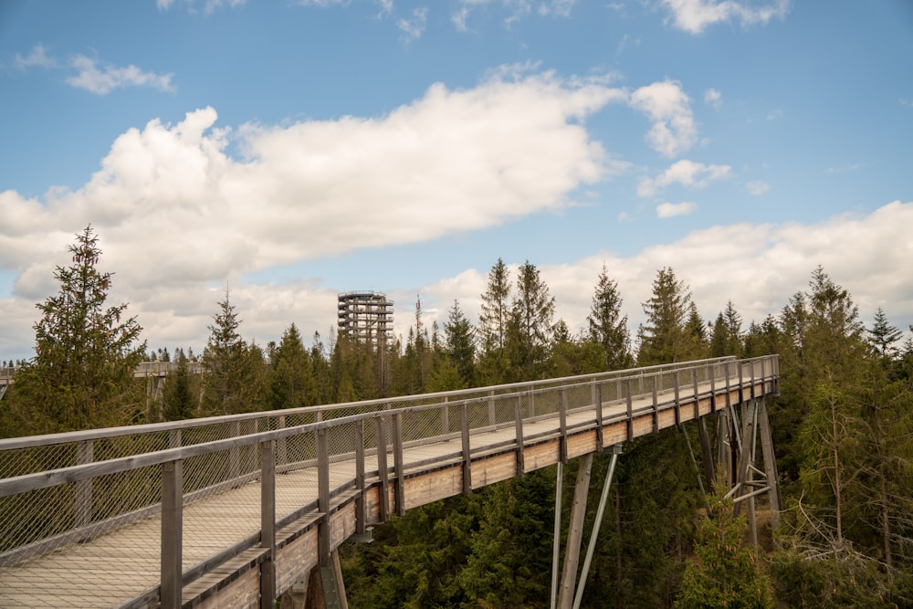 white metal bridge over green trees under blue sky during daytime