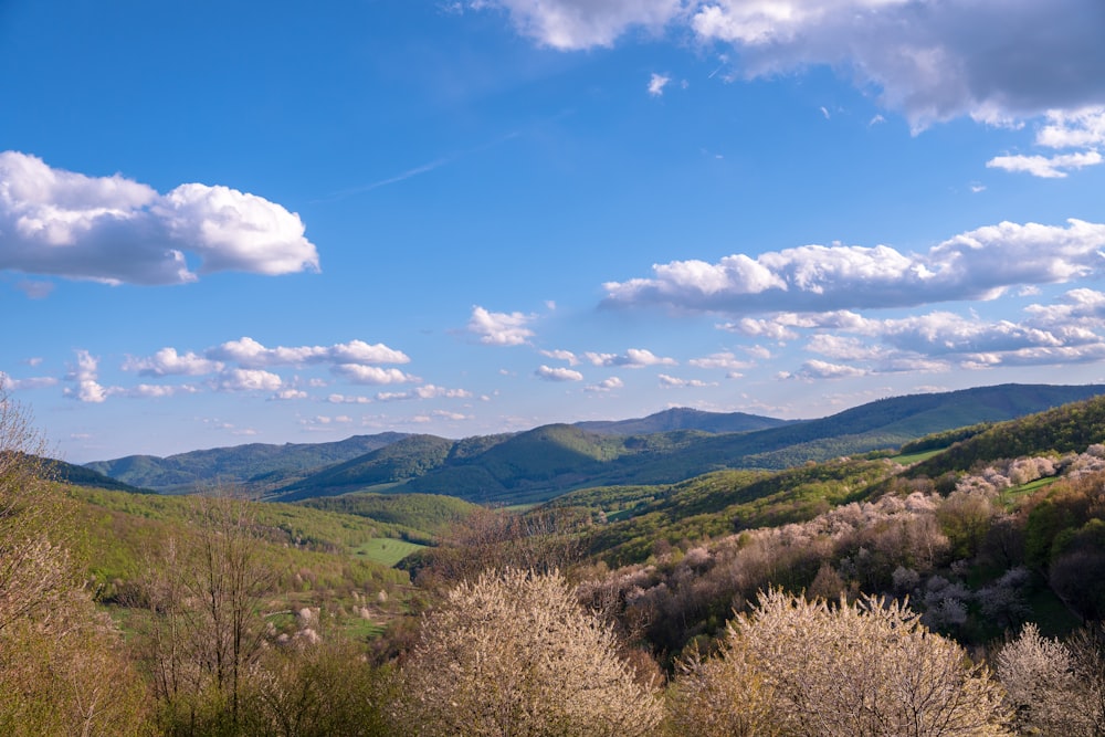 green and brown mountains under blue sky and white clouds during daytime