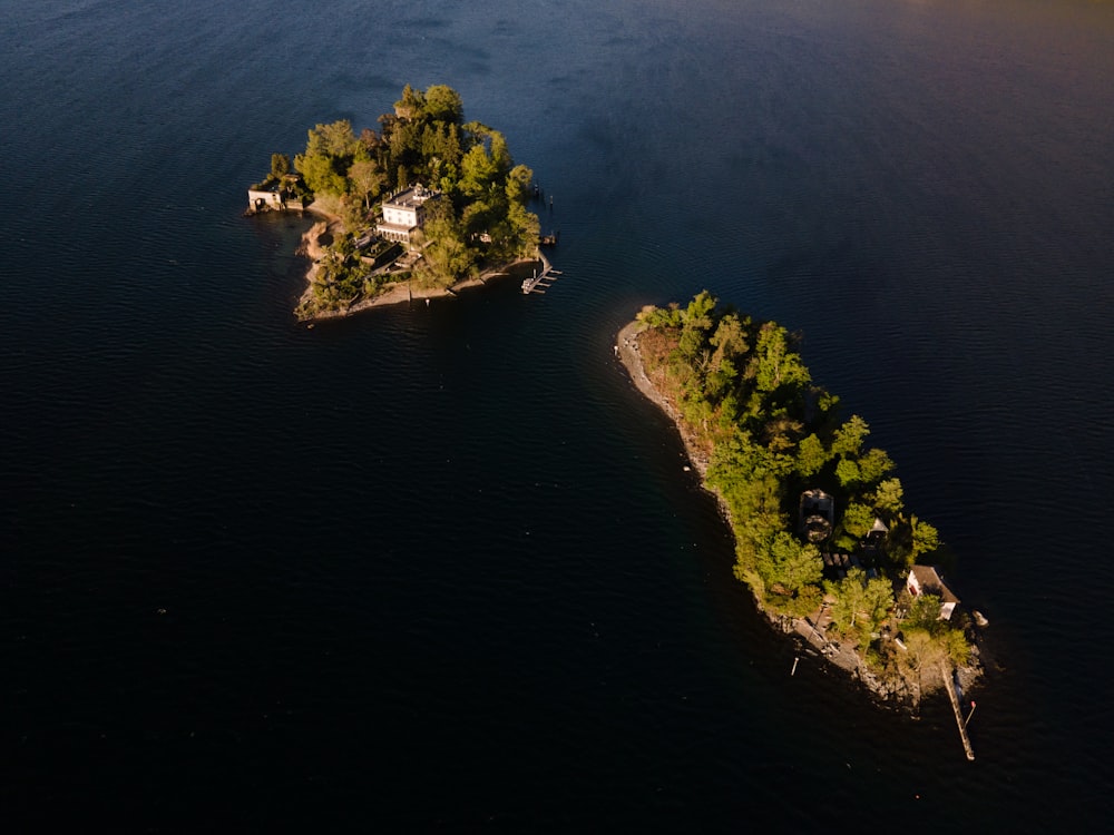 aerial view of green trees and body of water during daytime