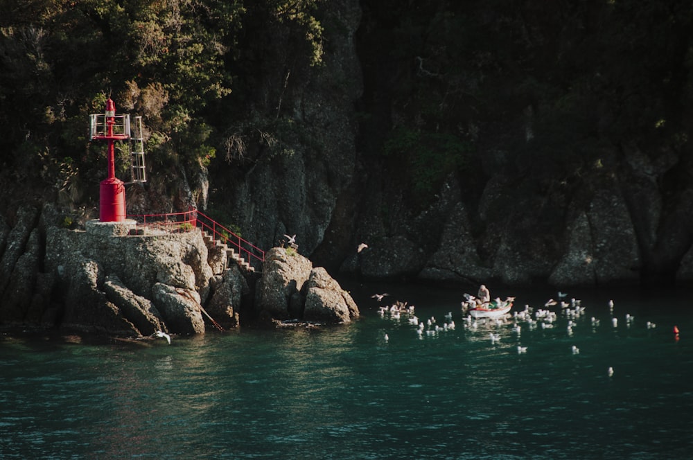 people swimming on sea near mountain during daytime