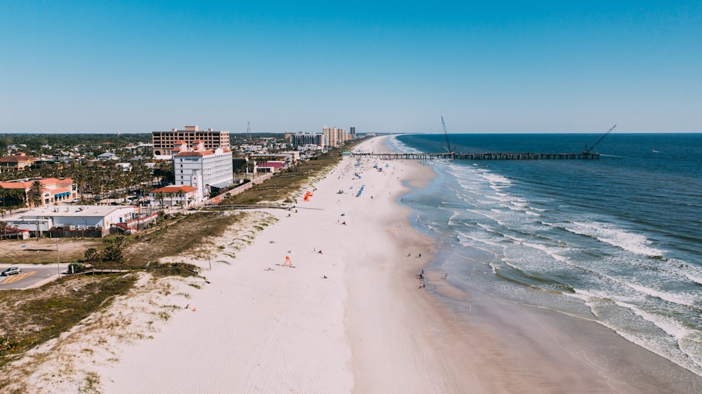 people on beach during daytime