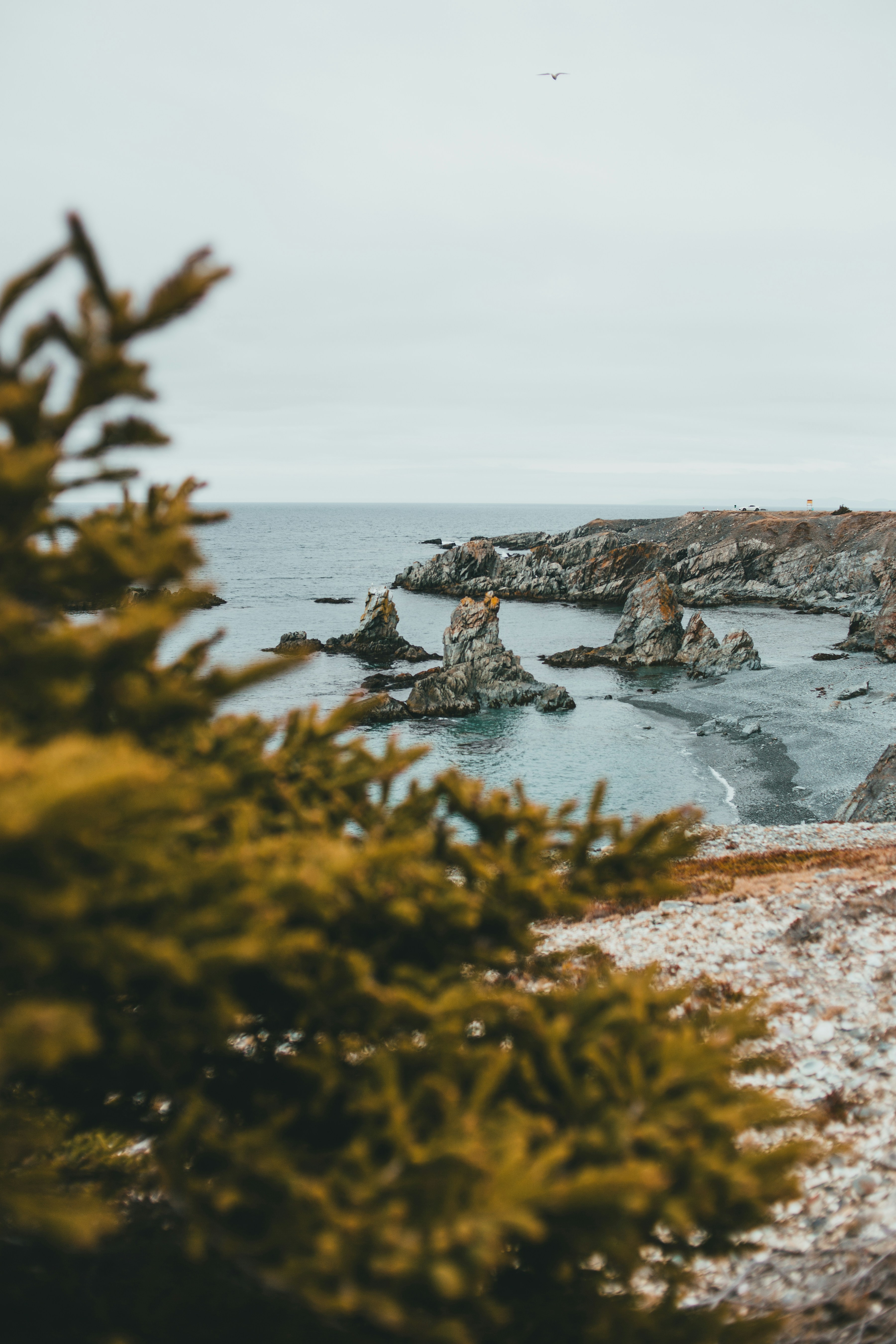 Photo by introspectivedsgn