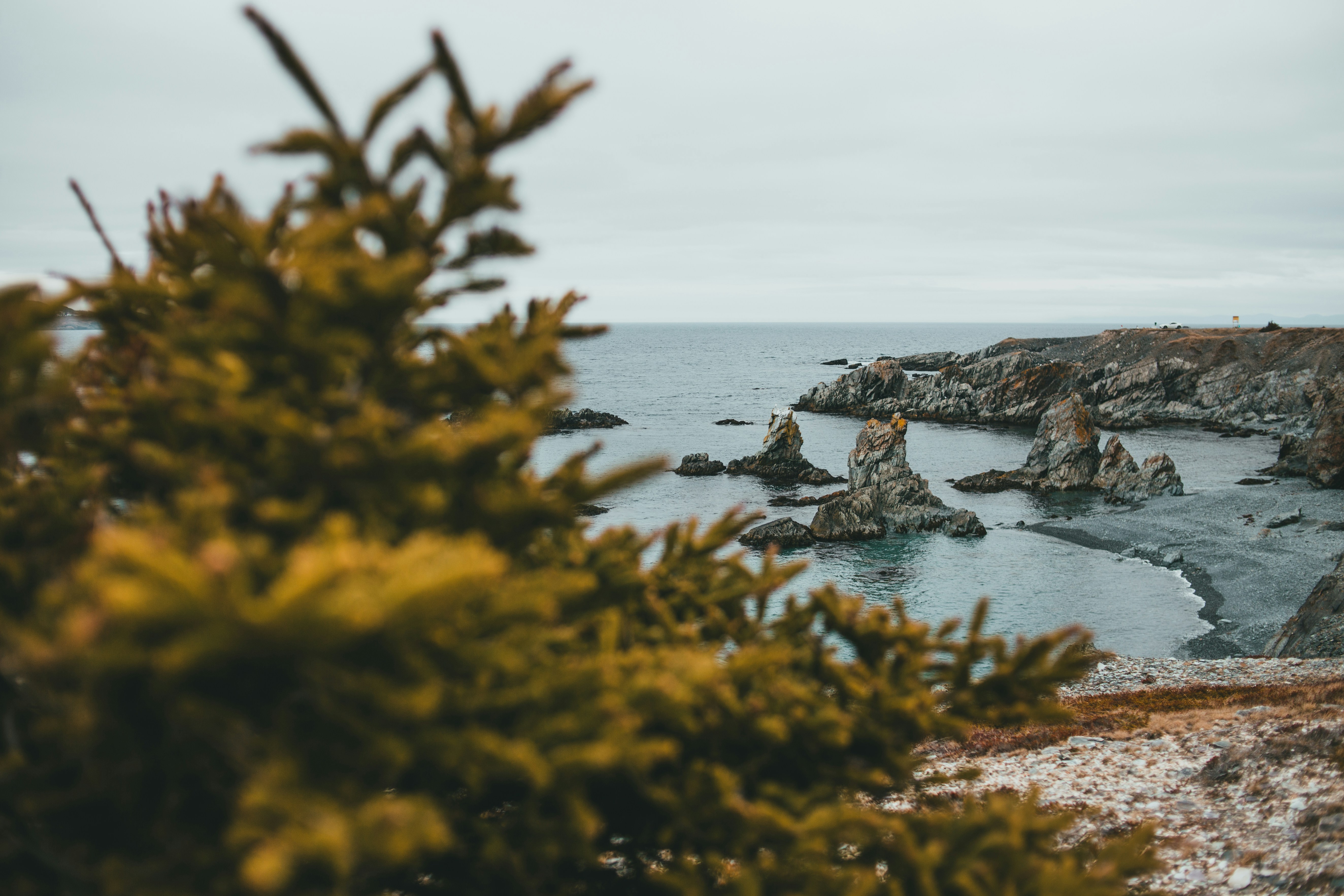 Photo by introspectivedsgn