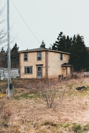brown and white concrete house near green trees during daytime