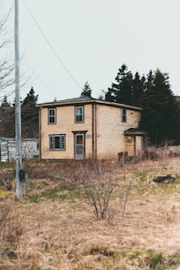 brown and white concrete house near green trees during daytime