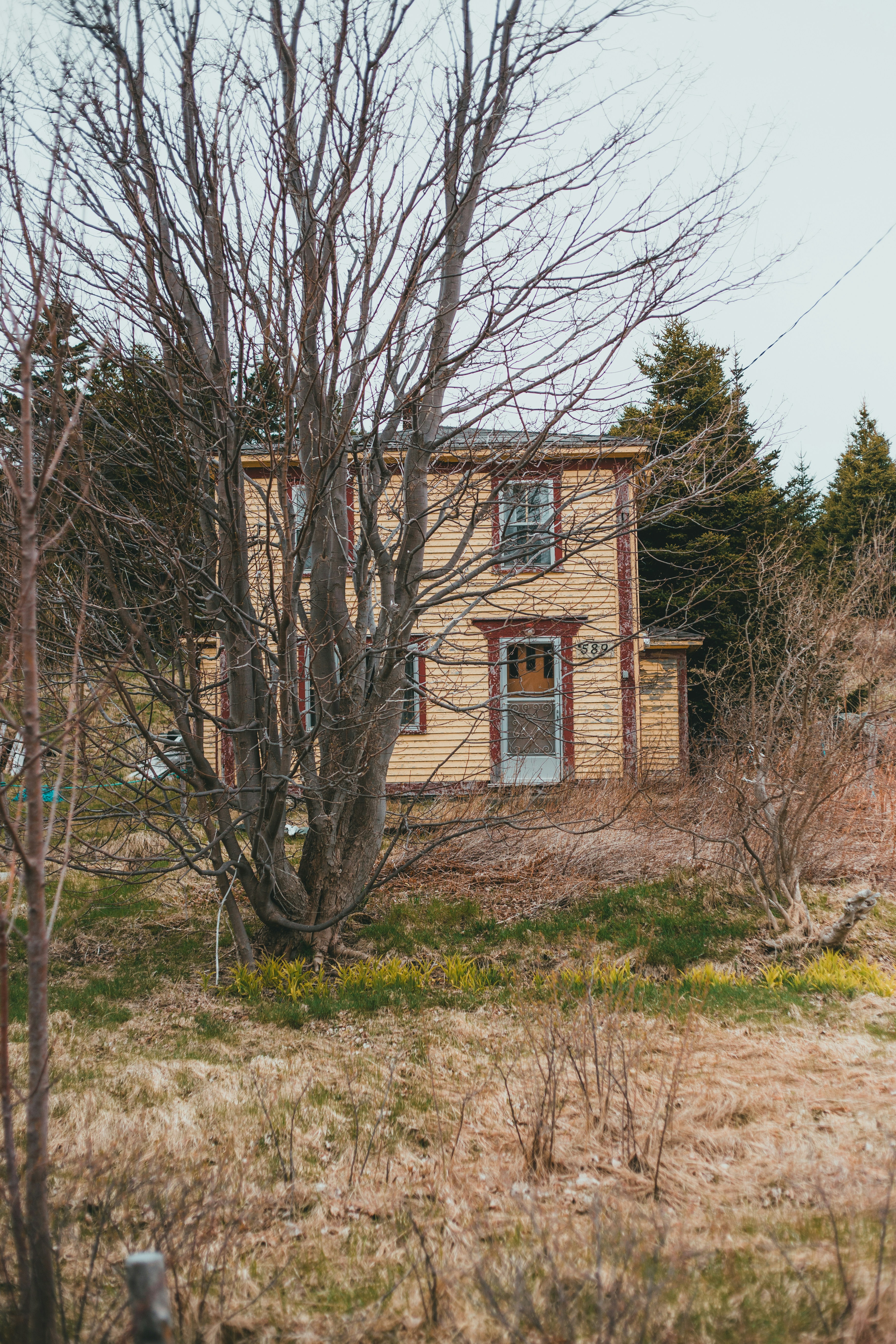 Photo by introspectivedsgn