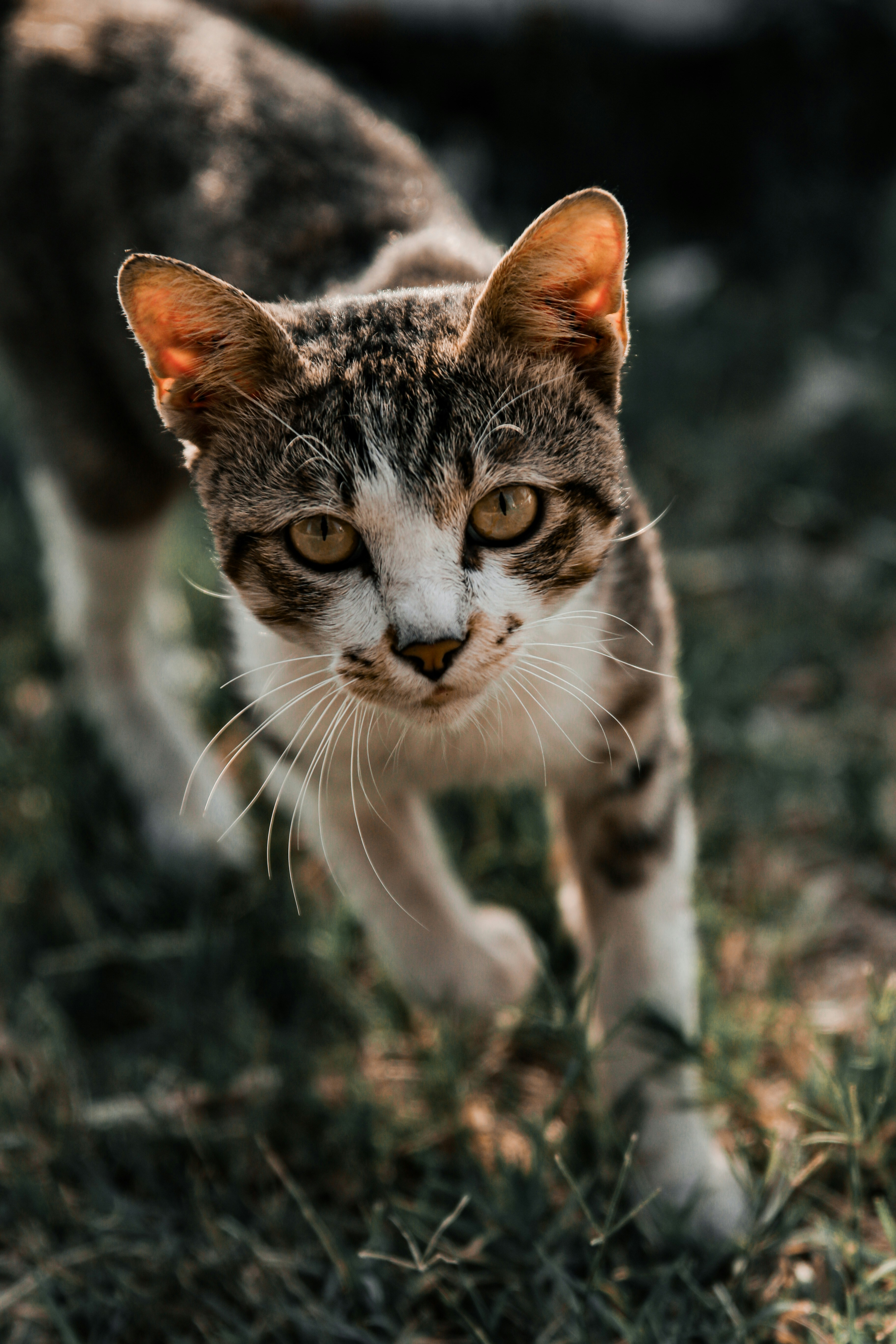 Photo by _zaynshabbir