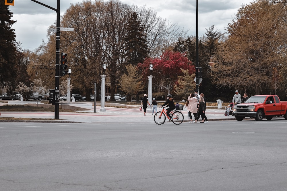 people riding bicycles on road near bare trees during daytime