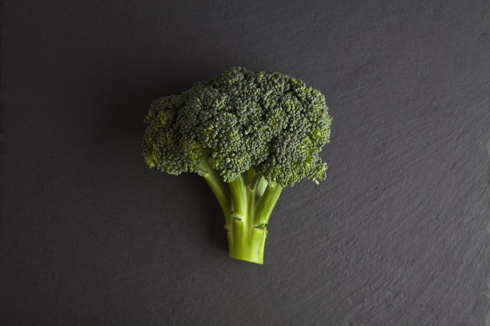 green broccoli on blue textile