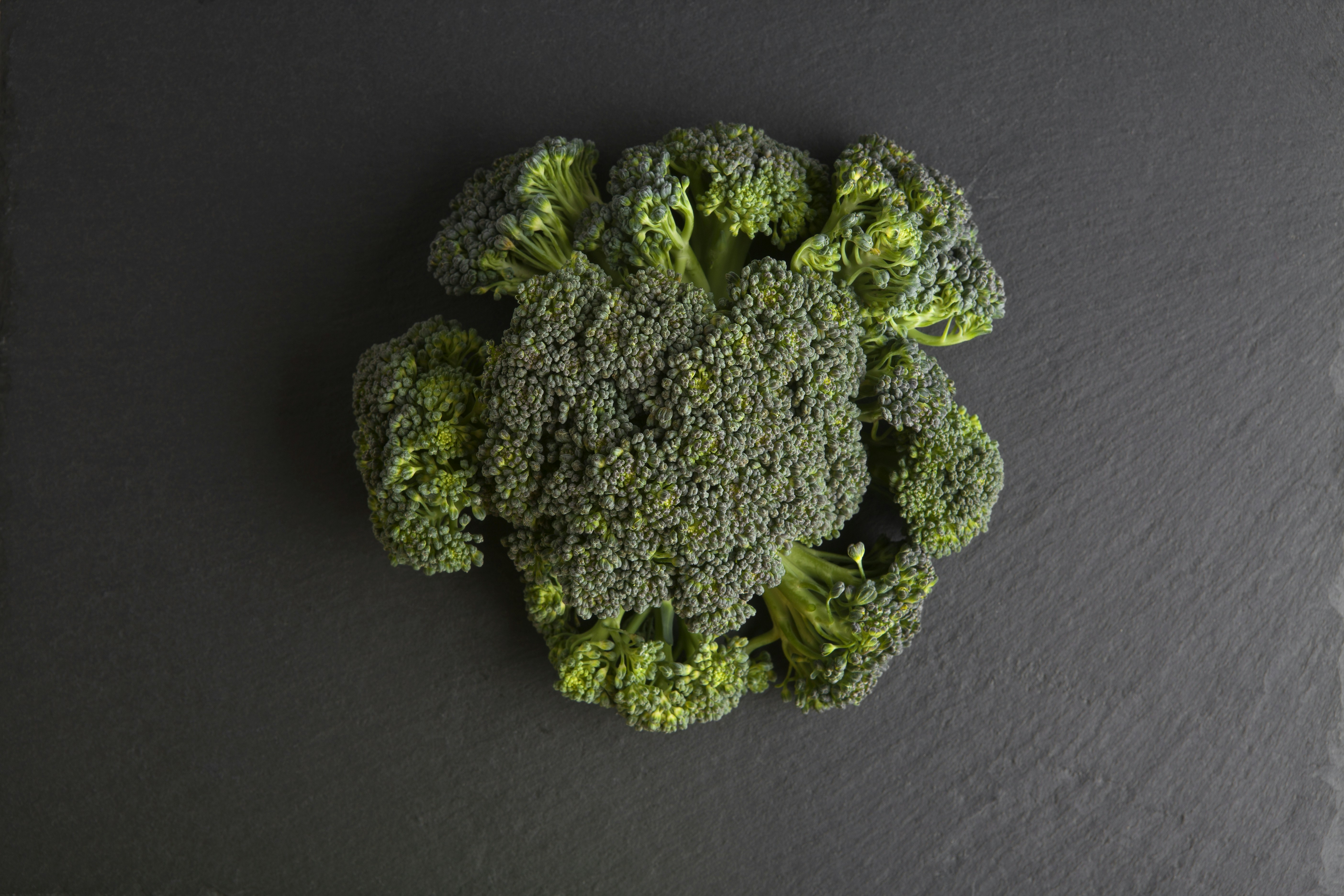 Gardening Tips for Broccoli
