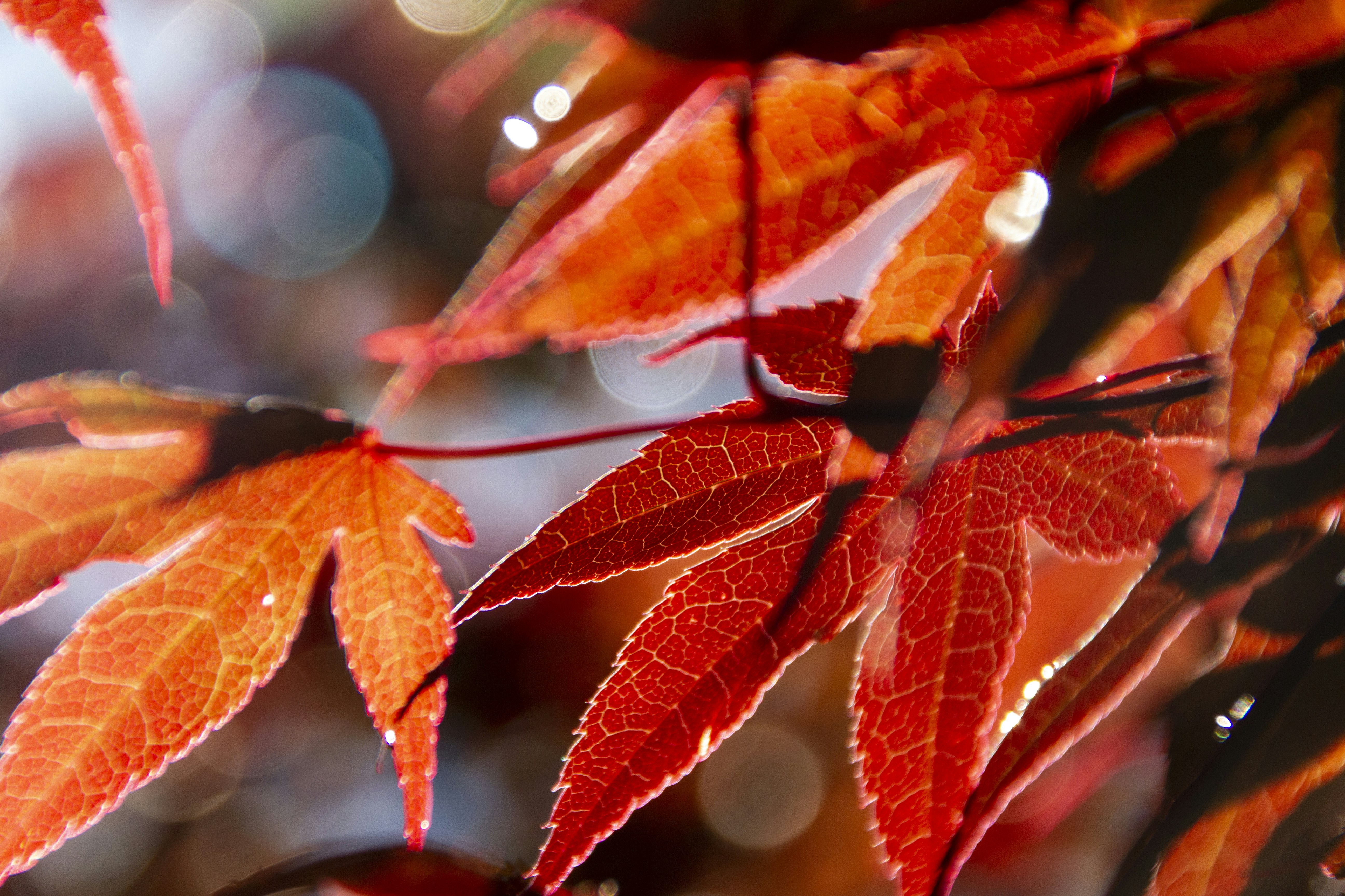 Photo by crystal_butler