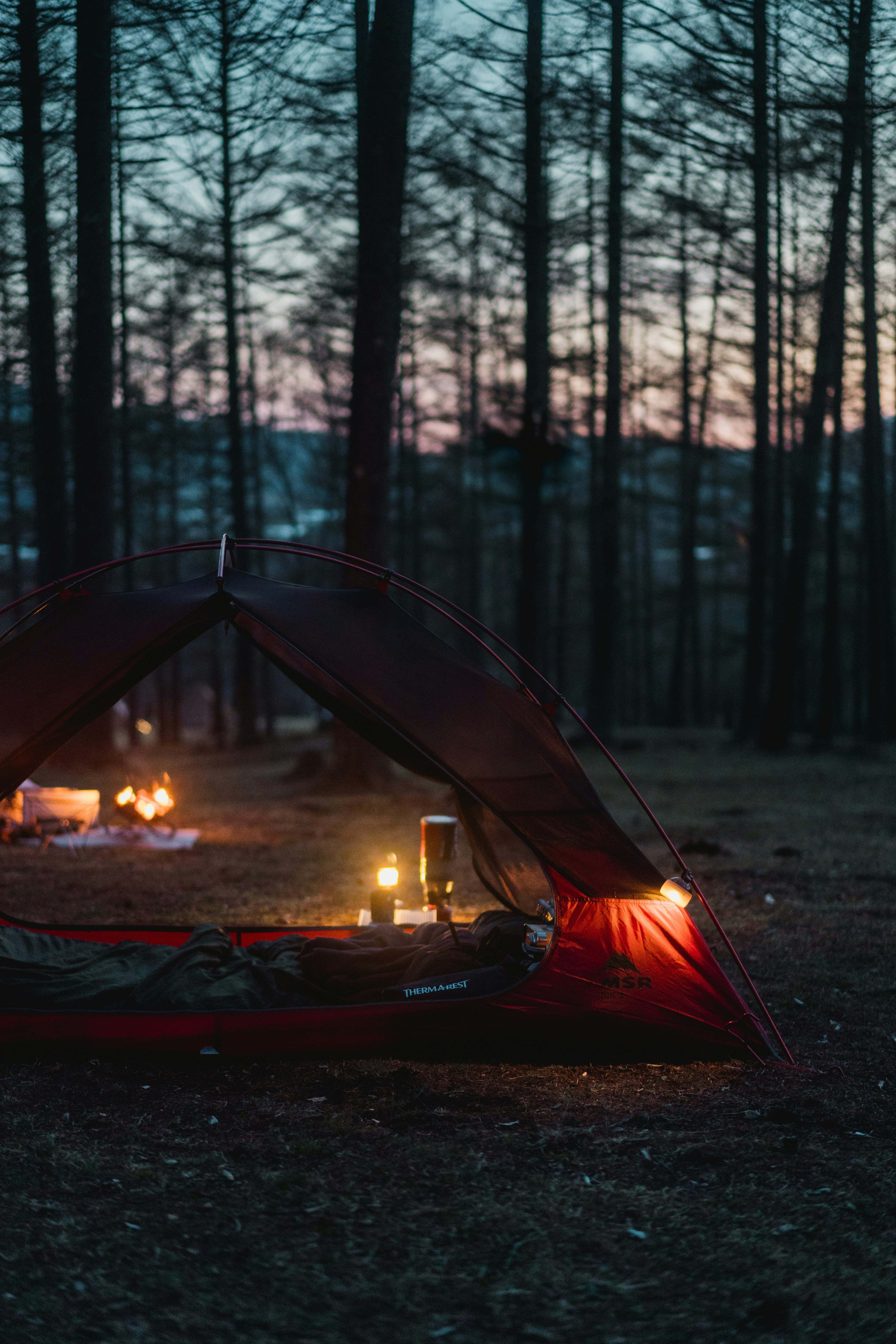 lighted bonfire in tent surrounded by trees during daytime