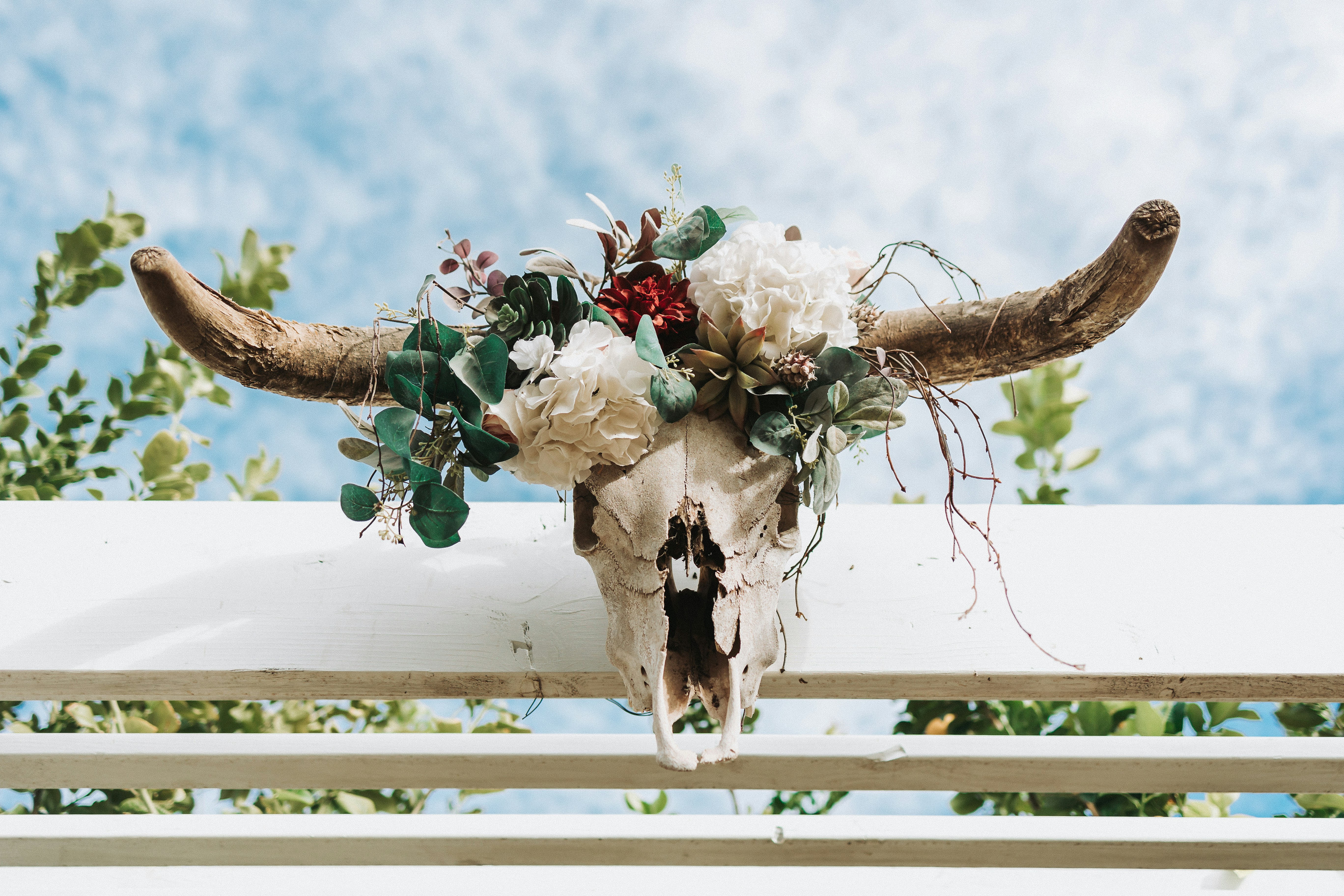 Skull decorated with flowers, against a blue sky