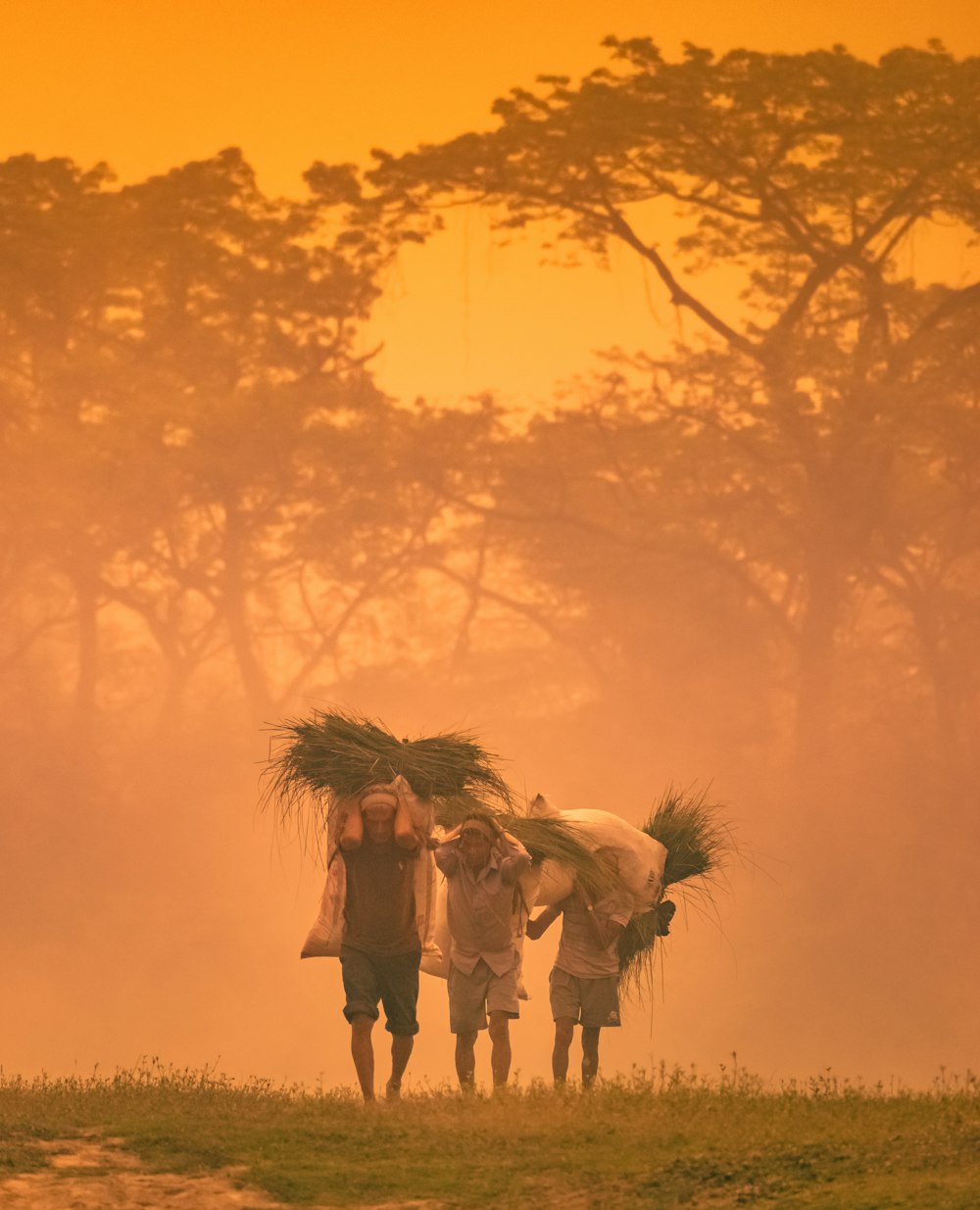 2 men and woman standing on brown field during sunset