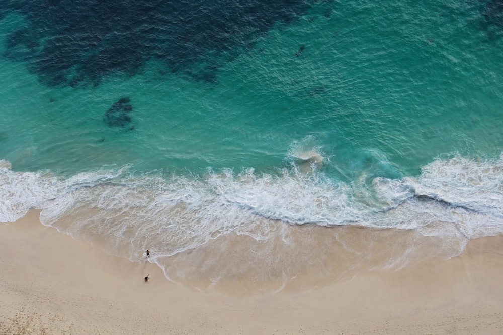 Gente en la playa durante el día