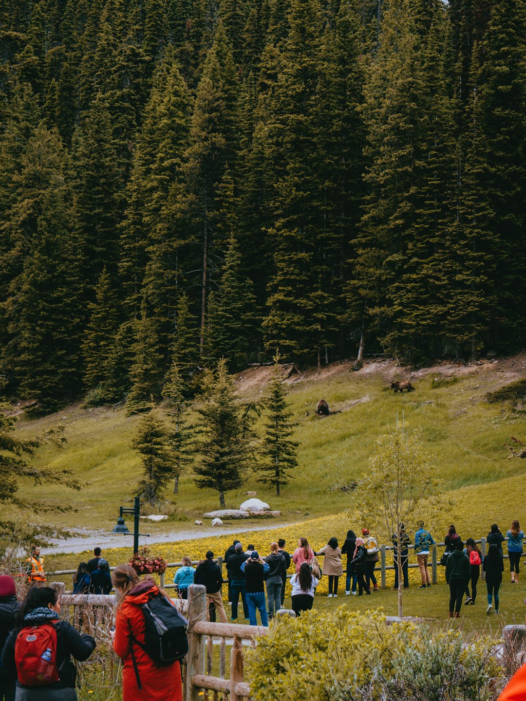 people standing on green grass field near green trees during daytime