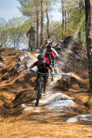 Cyclists navigating a rugged mountain bike cross country course surrounded by trees.