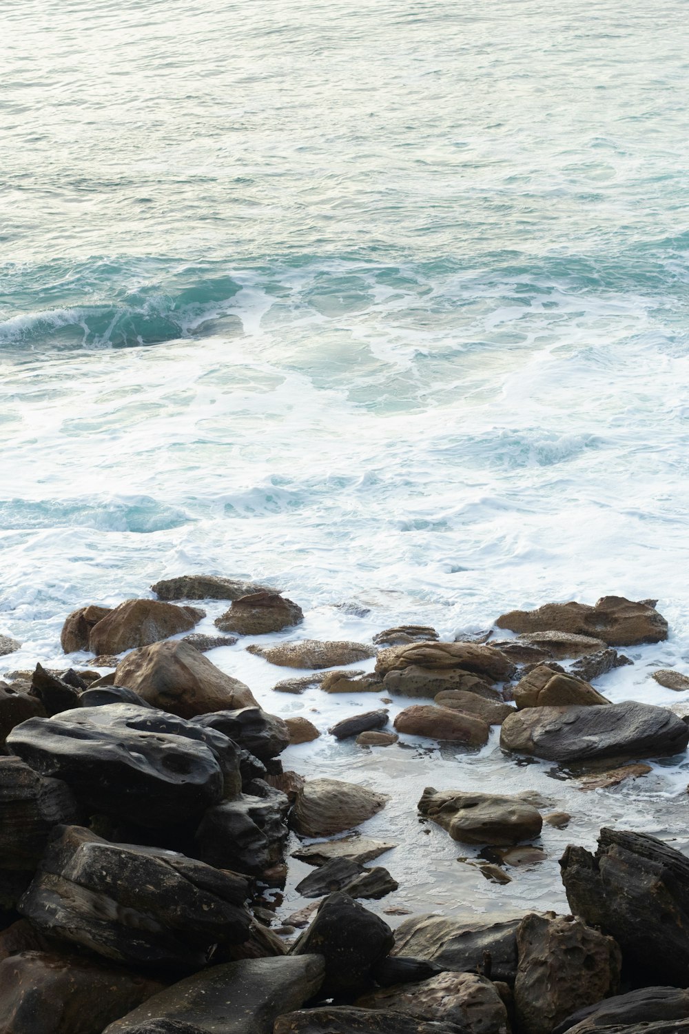 brown rocks on sea shore during daytime