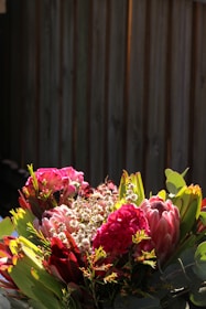 A vibrant bouquet of flowers with a mix of pink, red, and green hues under bright lighting. The flowers appear fresh and lush, with large blossoms surrounded by various leaves and smaller budding flowers. In the background, a wooden fence adds a rustic element to the composition.