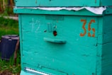 A close-up view of a turquoise wooden beehive with the number 36 painted in orange on its side. A bee can be seen entering through a small circular entrance. The hive appears to be aged with visible scratches and marks, indicating frequent use. In the background, there are green plants and blurred black containers.