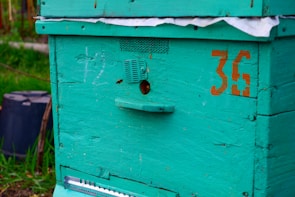 A close-up view of a turquoise wooden beehive with the number 36 painted in orange on its side. A bee can be seen entering through a small circular entrance. The hive appears to be aged with visible scratches and marks, indicating frequent use. In the background, there are green plants and blurred black containers.