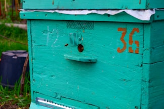 A close-up view of a turquoise wooden beehive with the number 36 painted in orange on its side. A bee can be seen entering through a small circular entrance. The hive appears to be aged with visible scratches and marks, indicating frequent use. In the background, there are green plants and blurred black containers.