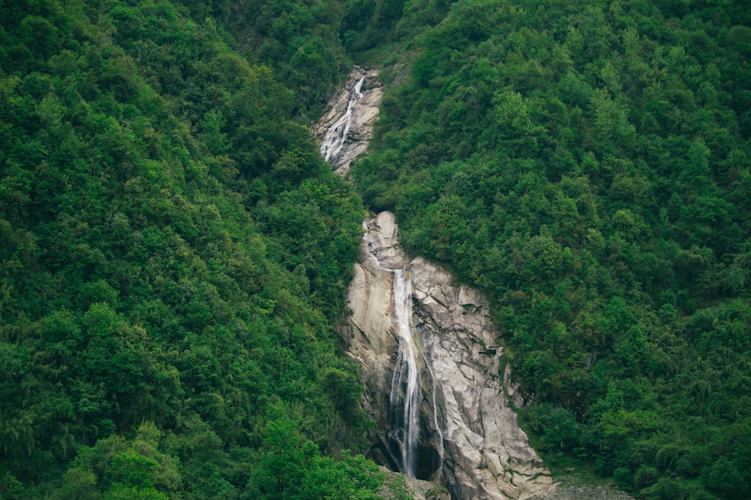 green trees on mountain during daytime