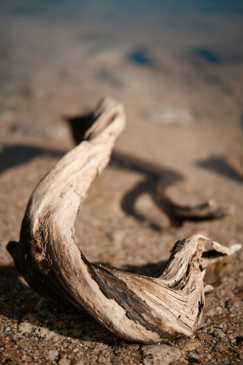 brown wood on brown sand