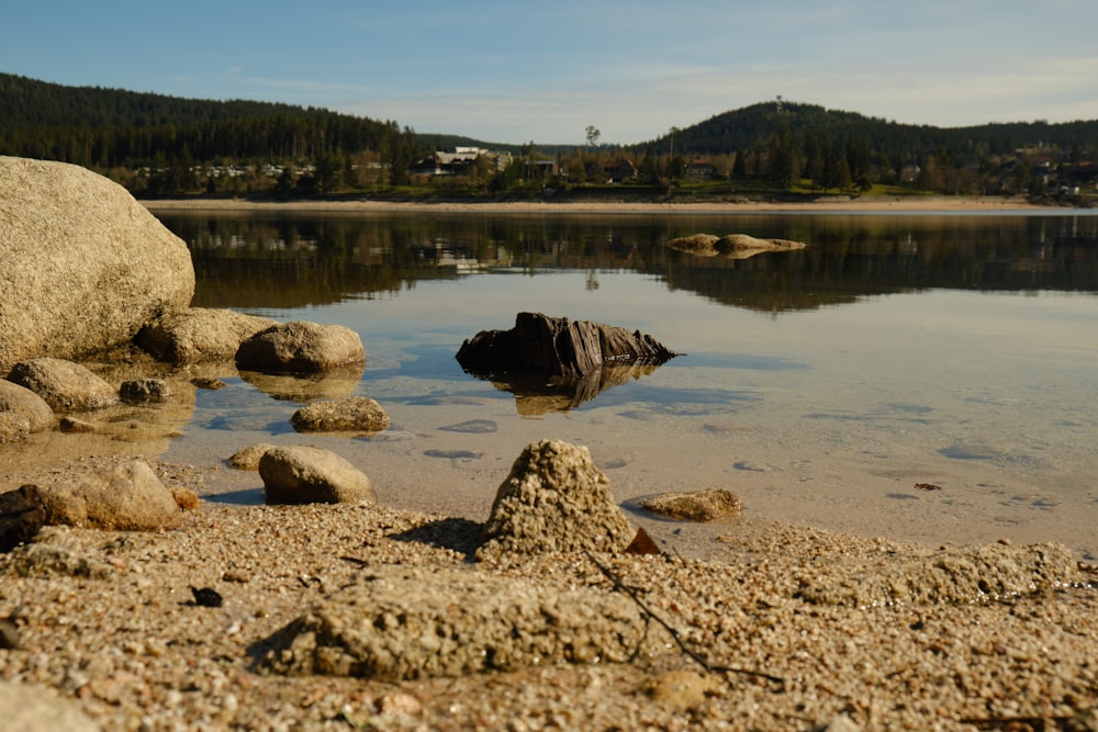 brown rocks on lake shore during daytime