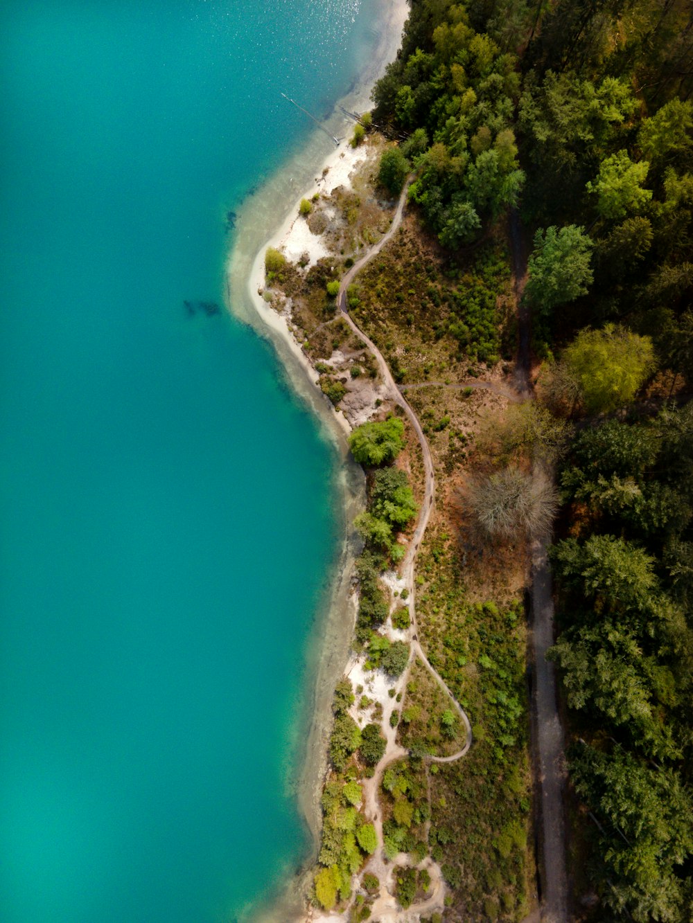 aerial view of green trees and blue sea during daytime