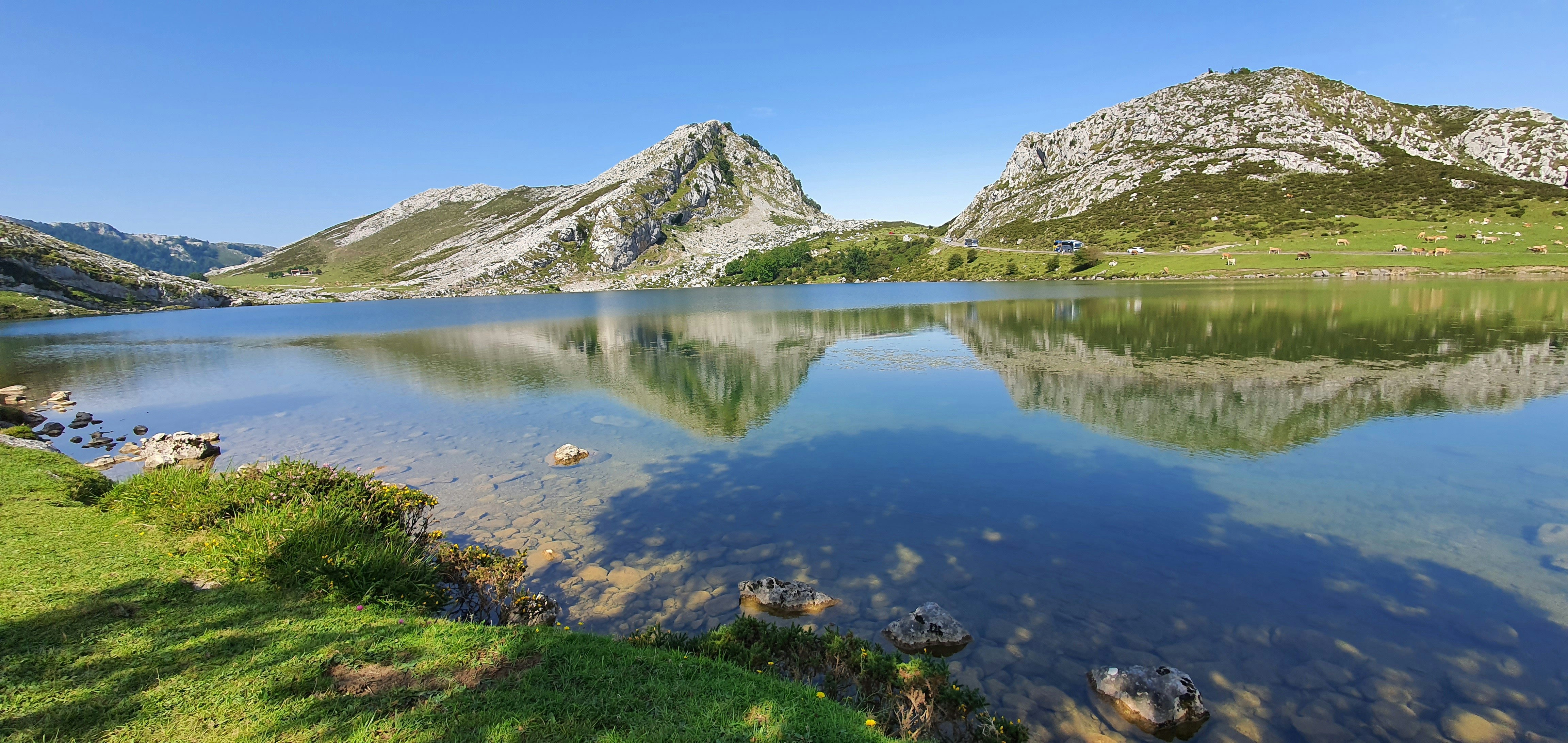 campo de grama verde e cadeias de montanhas