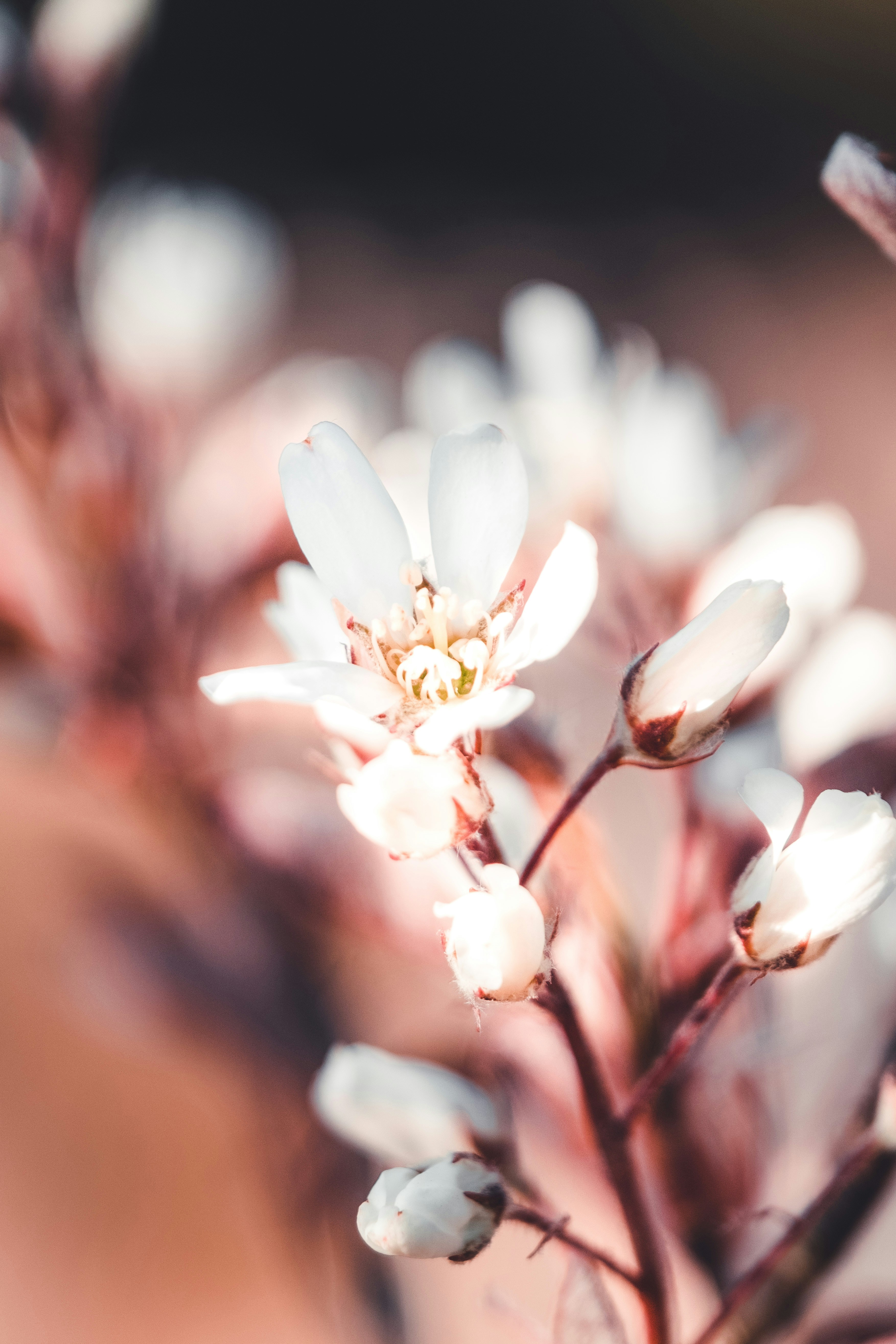 Photo by robinmathlener