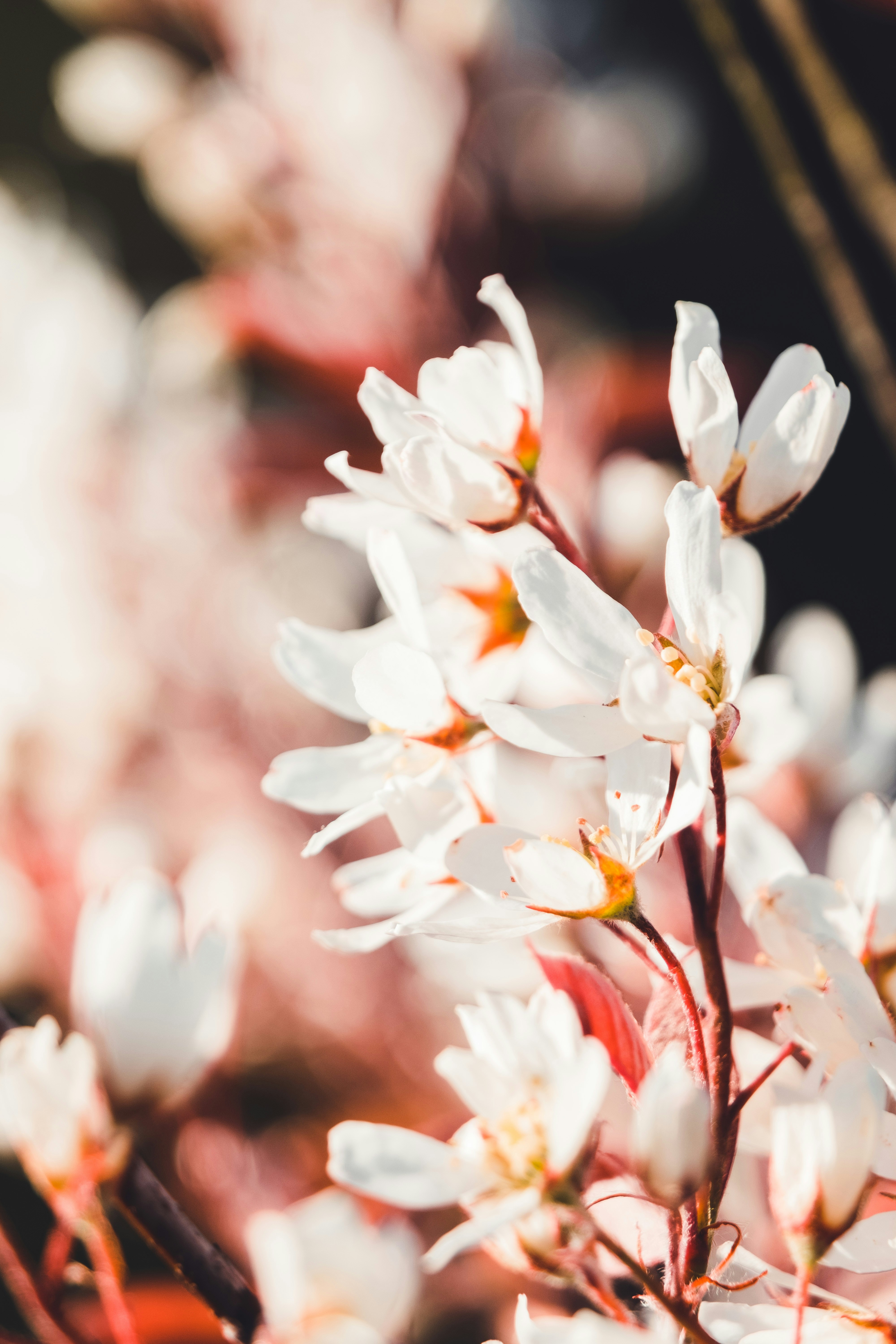 Photo by robinmathlener