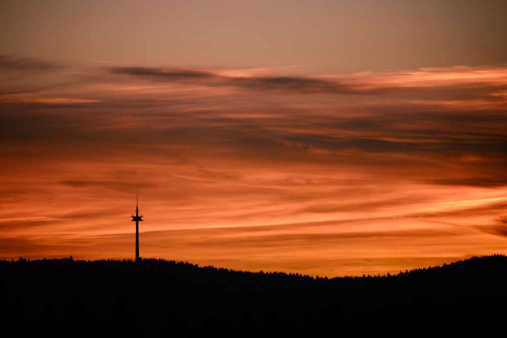 silhouette of trees during sunset