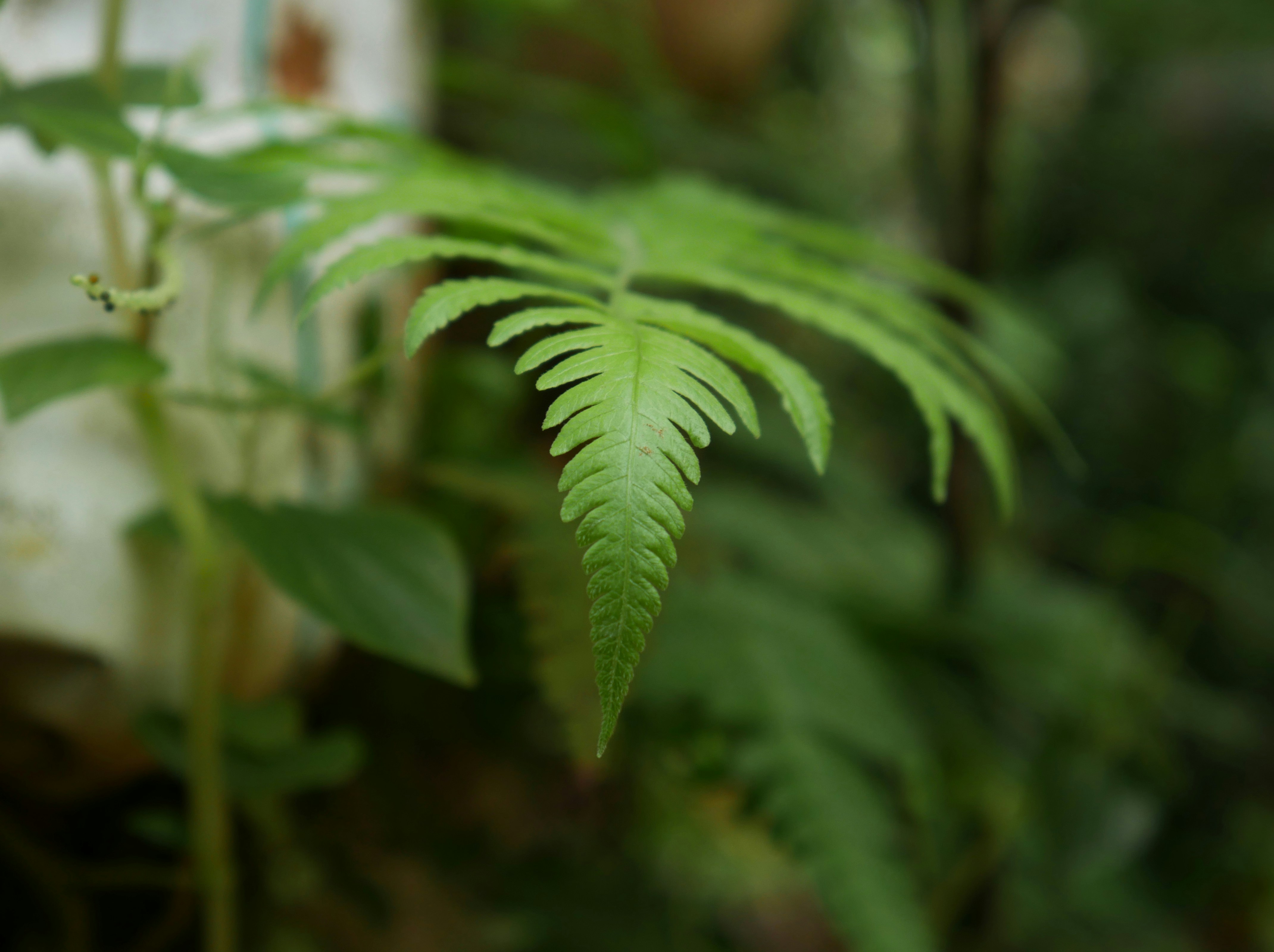 Photo by dark_matter_09