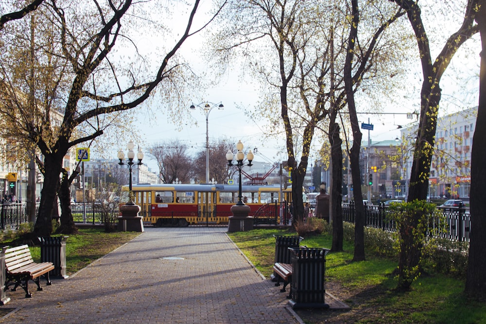 red train on rail near trees during daytime