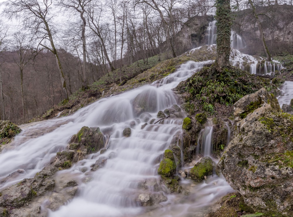 water falls in the middle of the forest